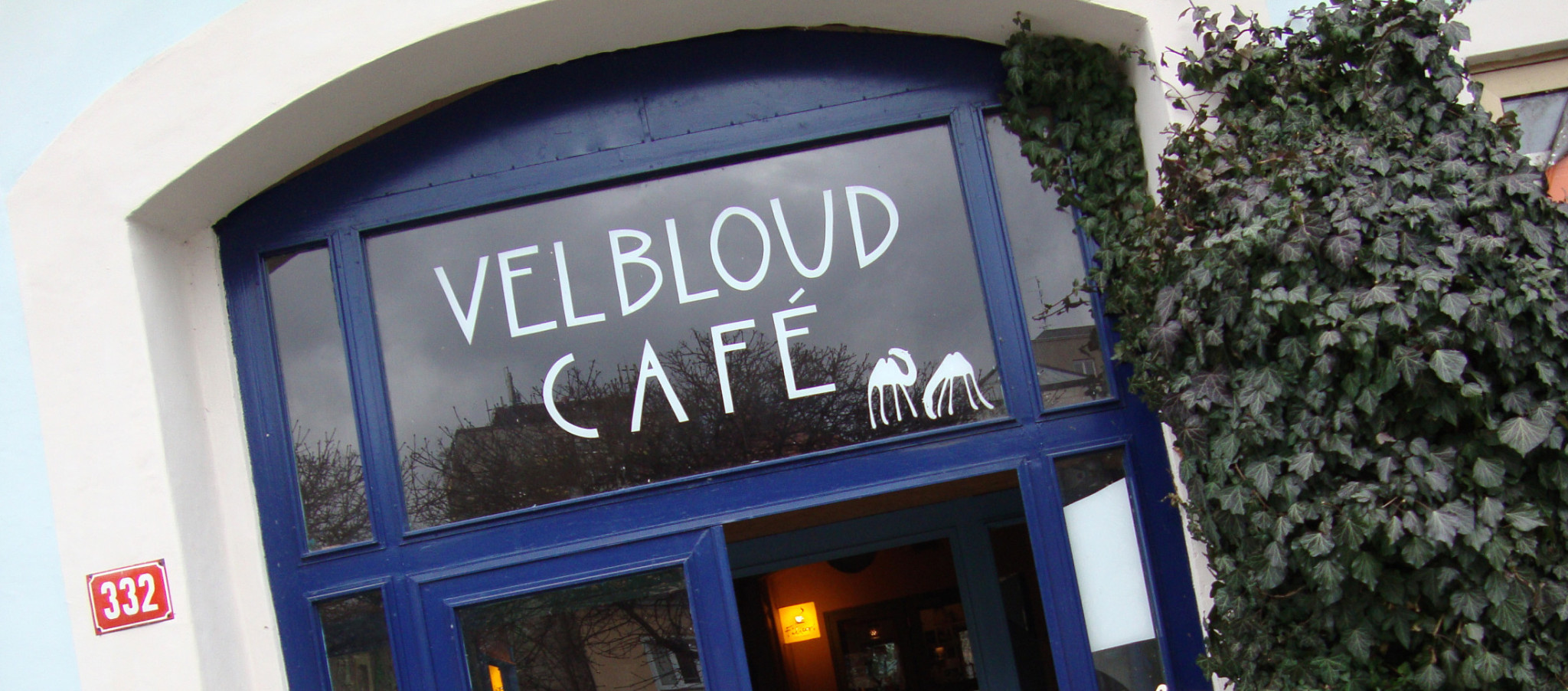 nahled_velbloud_cafe